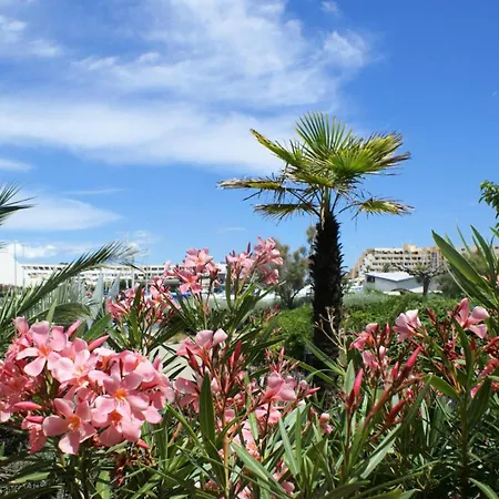 Port Soleil - Studio Pour 2 Personnes 634 - Naturiste Apartment Agde